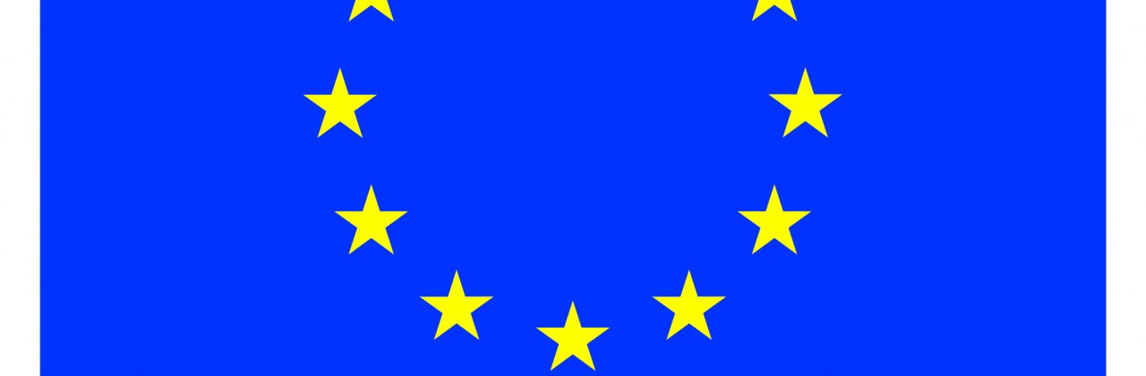 Apoyo financiero de la UE – TICCAMARA