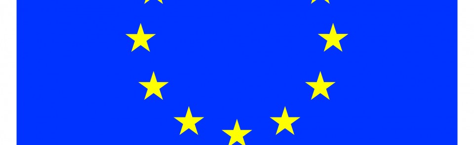 Apoyo financiero de la UE – TICCAMARA
